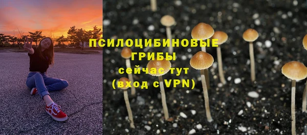 бутират Михайловка