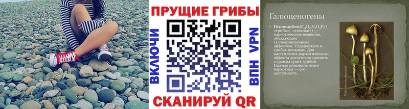 закладка  omg ССЫЛКА  Галлюциногенные грибы мицелий  Островной 